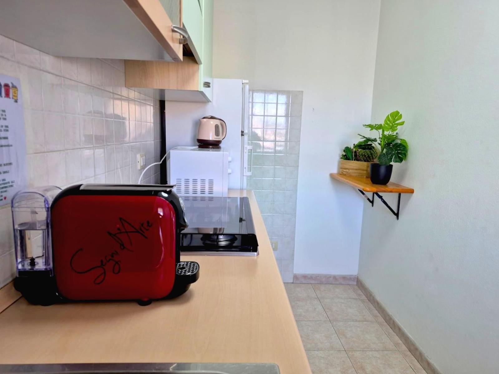Da Felo Guest House อาลเกโร ภายนอก รูปภาพ